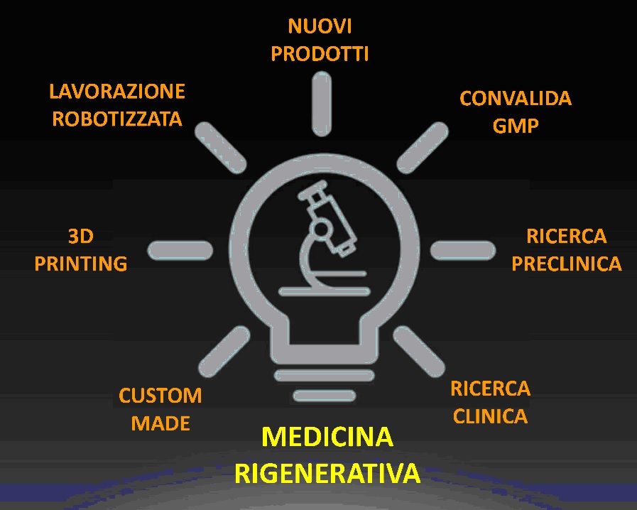 Rappresentazione grafica dell'attività di ricerca e sviluppo